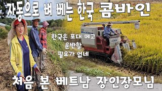 자동으로 벼베는 한국콤바인 처음 본 베트남 장인장모님 [upl. by Nirrok]