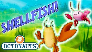 Octonauts  Learn about Shellfish  Cartoons for Kids  Underwater Sea Education [upl. by Stoops]