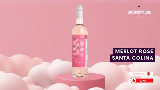 Vinho Rosé Merlot Nova Aliança [upl. by Apul]