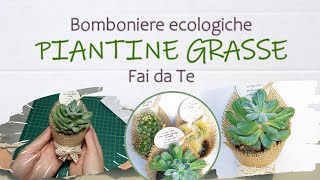 Piante grasse│BOMBONIERE ECOLOGICHE Fai da Te│TUTORIAL│i Quattro Elementi  Naturalis Solutio [upl. by Allenrad]