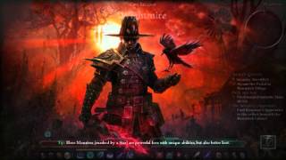 Grim Dawn  Arcanist und Demolitionist Character Build [upl. by Mooney]