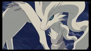 RESHIRAM CLIPS Free to Use 1080p HD [upl. by Ashely]