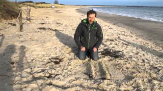 Sand dune succession model at Studland Bay with Barry and Ben The Geography Men [upl. by Adnerad]