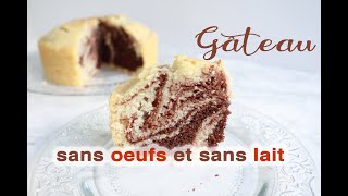 🥧 GÂTEAU MARBRÉ SANS OEUFS ET SANS LAIT 🥧 Excellente Recette Facile et Rapide 2 Versions [upl. by Eileek83]