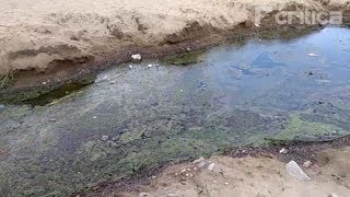 Esgoto a céu aberto na praia da Ponta Negra [upl. by Gennaro]