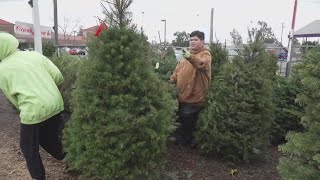 Stormy weather causes chaos for Galt boy scout troops Christmas tree fundraiser [upl. by Eresed713]