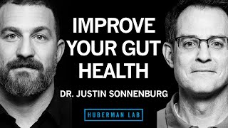 Dr Justin Sonnenburg How to Build Maintain amp Repair Gut Health  Huberman Lab Podcast 62 [upl. by Younger]