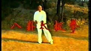 八卦太極拳Bagua Tai Chi Quan 王洪生師傅 Sifu Wang HongSheng [upl. by Demaria]