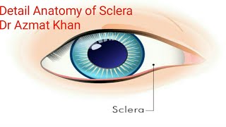 Sclera  Detail Anatomy of Sclera  Differential Diagnosis of Blue Sclera By Dr Azmat Khan [upl. by Adrianne537]