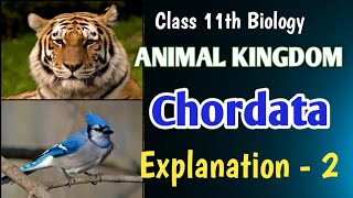 Chordata 👉🏻 Animal Kingdom Class 11th Biology education biology neet boardexam [upl. by Siraj976]