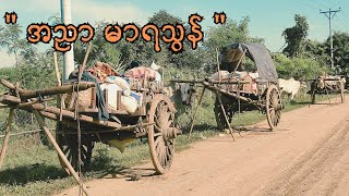 အညာ မာရသွန် [upl. by Justinian925]