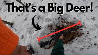 Tracking Deer in Vermont  Vermont Muzzleloader Season 2023 [upl. by Gwenora13]