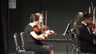 Elegy from Serenade for Strings by P Tchaikovsky arr Elliot Del Borgo [upl. by Nanreit171]