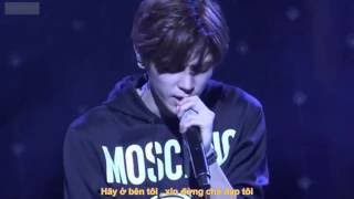 VIETSUBFMV ResetTiger JK Taeyong Ver [upl. by Oniluap]