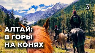 Первый раз в конном походе  Я упала с лошади  Правила безопасности [upl. by Hallimaj]