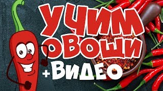 УЧИМ ОВОЩИ Развивающие мультики для детей Учим слова [upl. by Cranston]