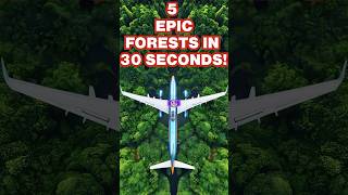 5 Largest Forests in 30 Seconds 🌲🌍 [upl. by Geoffrey]