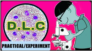 DLC Test  WBC Differential Count  Differential Leukocyte Count [upl. by Rogerg]