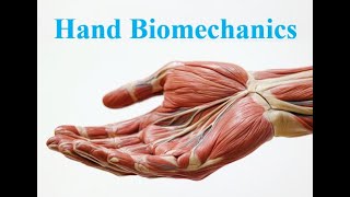 Hand Biomechanics for Physical Therapy Students [upl. by Smail]