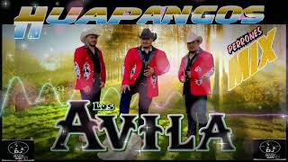 🤠 LOS AVILA 🤠 HUAPANGOS PERROS 🤠 BY DJ MAGIC MIKE MTY 🤠 [upl. by Nerha]