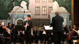 CMWeber clarinet concertino  Narek Arutyunian and Orchestra [upl. by Acissey]