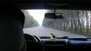 Bumpy Road in North Korea From Pyongyang to Wonsan 平壌から元山まで [upl. by Edny]