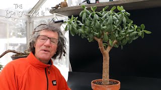 The James Jades The Bonsai Zone Nov 2023 [upl. by Schouten]