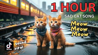 Meow Meow Meow Sad Song 1 Hour Compilation cat cute catlover cutecat aicat meow [upl. by Natalia]