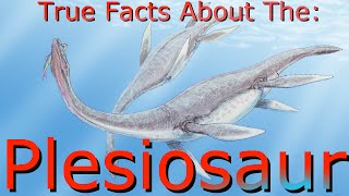 True facts About The Plesiosaur [upl. by Takken528]