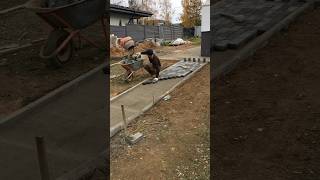 Landscaping in 5 days👍work construction pavers builder satisfying diy paverblocks garden [upl. by Lettie855]