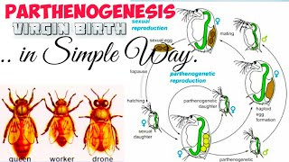 PARTHENOGENESIS [upl. by Tolliver]