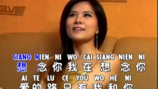 HUANG JIA JIA 黄佳佳  XIANG NIAN NI 想念你mp4 [upl. by Refannej]