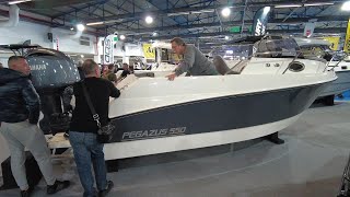 PEGAZUS 550 small boat 2024 [upl. by Novad]