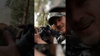 Double Bull Elk Take Down archeryelk bowhuntingelk idahoelk publiclandhunting buglingbulls [upl. by Sanborne528]