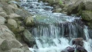 💧 Bruit de l’eau qui coule doucement pour dormir se relaxer se concentrer et rester ZEN [upl. by Ramalahs]