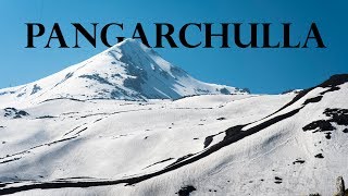 Pangarchulla Peak Trek  Detailed  via Kuari pass  May 2019 [upl. by Locin]