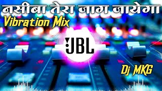 Nasiba Tera Jag Jayega Navratri Spacial Mix DJ MkG [upl. by Aroda]