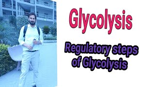 Glycolysis Regulation of Glycolysis Pathway Anaerobic vs Aerobic Glycolysis Net ATP in Glycolysis [upl. by Fisher]