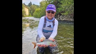 Flyfishing the Ljubljanica River Slovenia  9124 [upl. by Leigh]