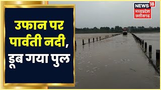 Sheopur News उफान पर आई पार्वती नदी Jalalpur में नदी पर बना पुल डूबा। Parvati River Water Level [upl. by Hnahc]