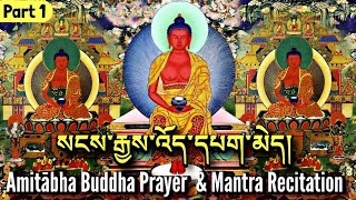 ☸Amitabha Buddha Prayer And Mantra RecitationPart 1སངས་རྒྱས་འོད་དཔག་མེདSadhana Prayer Practice [upl. by Grimes]