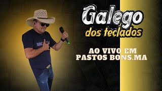 GALEGO DOS TECLADOS AO VIVO EM PASTOS BONS MA VIZINHA DO LADO [upl. by Ahrens]