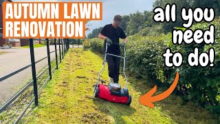 It’s time to RENOVATE your LAWN this AUTUMN [upl. by Nnyw]