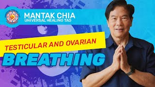 Testicular and Ovarian Breathing by Mantak Chia [upl. by Dita]