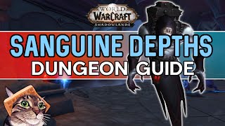 Sanguine Depths Mythic Dungeon Guide [upl. by Iaoh]