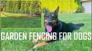 Effective Garden Fencing Ideas for Dogs [upl. by Florian]