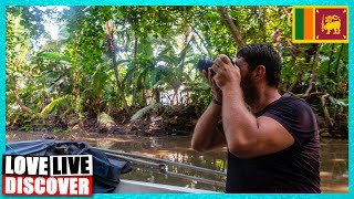 Bentota River Safari Sri Lanka [upl. by Prissy]