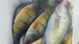 CJ Strike and Southern Idaho Fishing Report 82923 Crappie fishing is on 🔥 [upl. by Cecily240]