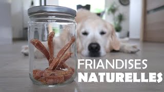 Recette FRIANDISES 100 naturelles pour chien [upl. by Akienahs]