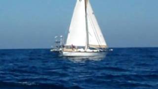 Barefoot Two sailing to Utila [upl. by Ateuqirne571]